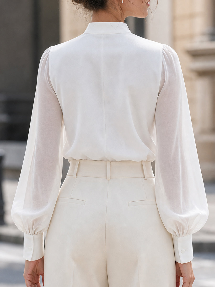 Stand Collar Split V Neck Sheer Lantern Long Sleeve Blouse